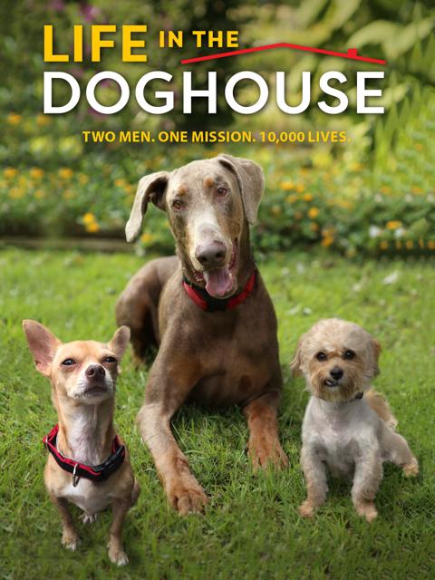 Movie poster for Life in the Doghouse