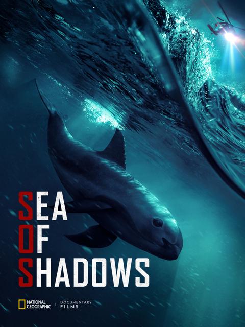Sea of Shadows