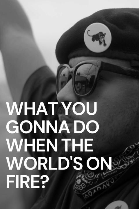 Poster för What You Gonna Do When the World's on Fire?