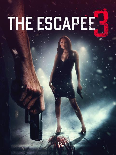Movie poster for The Escapee 3: The Final Escape