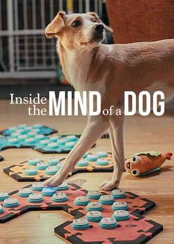 Inside the Mind of a Dog