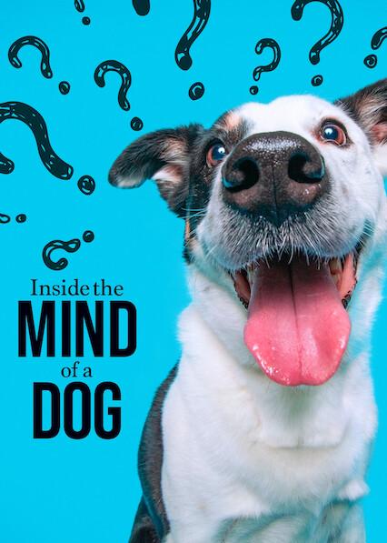 Poster för I huvudet på en hund