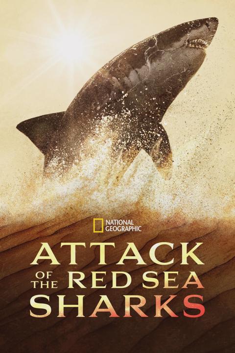 Poster för Attack of the Red Sea Sharks