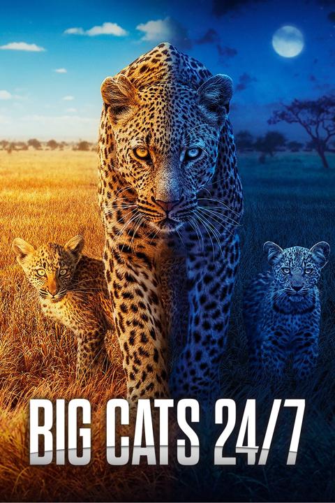 Series poster for Big Cats 24/7
