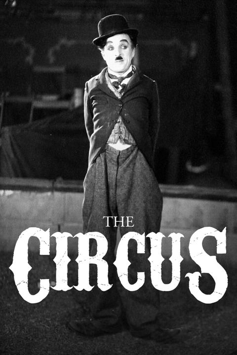 The Circus