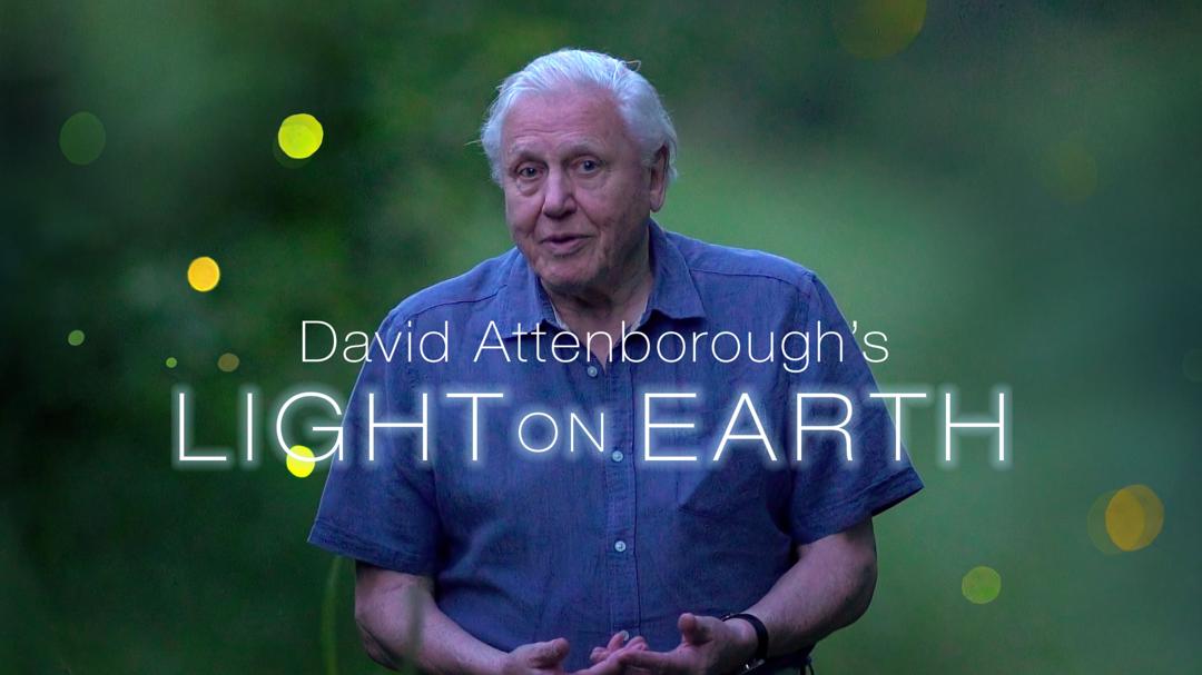 Attenborough's Life That Glows