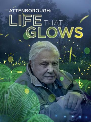 Attenborough's Life That Glows poszter