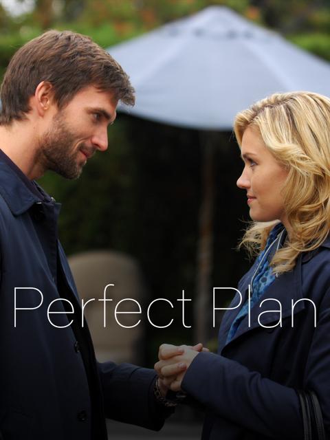 Movie poster for Perfect Plan