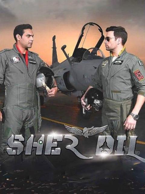 Movie poster for Sherdil