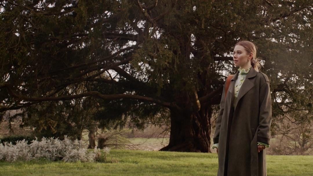 Background image for The Killing Tree