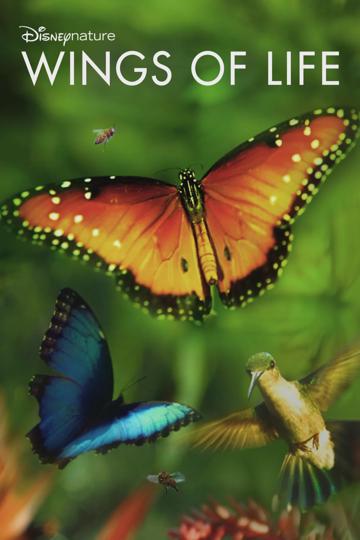 Wings of Life poszter