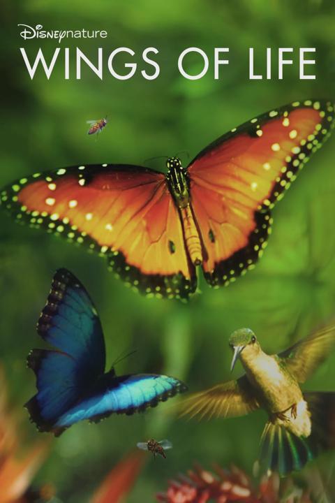 Movie poster for Wings of Life