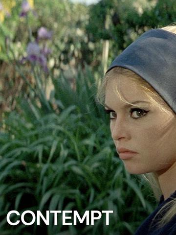 Contempt