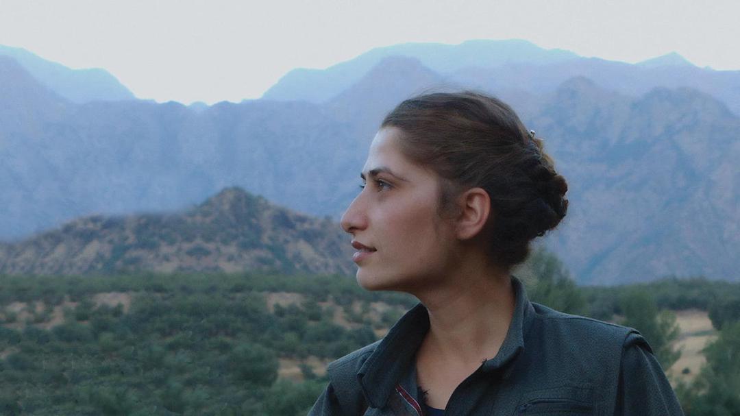Background image for Gulîstan, Land of Roses