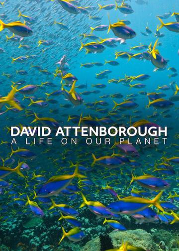 David Attenborough: Egy élet a bolygónkon poszter