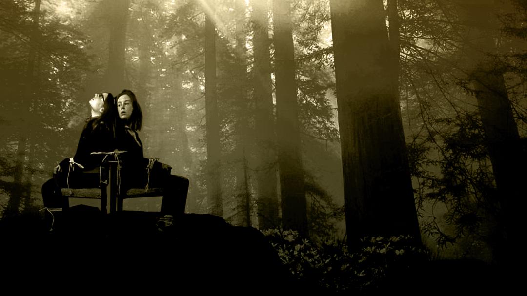 Background image for Wilderness Survival for Girls