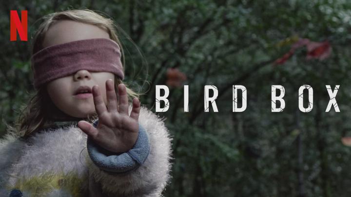 Poster of Bird Box