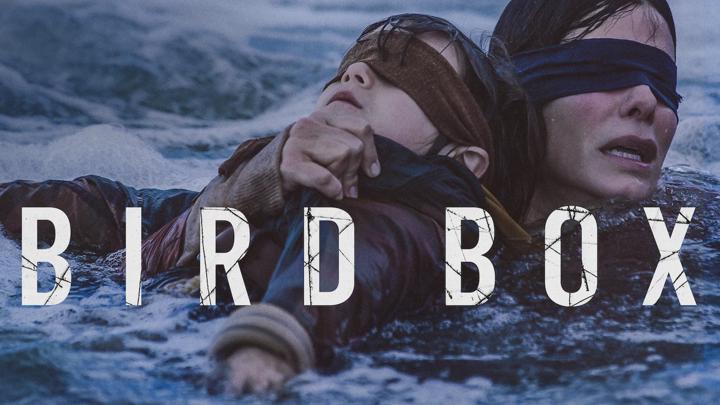 Poster of Bird Box