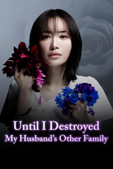 Until I Destroyed My Husband's Other Family poszter