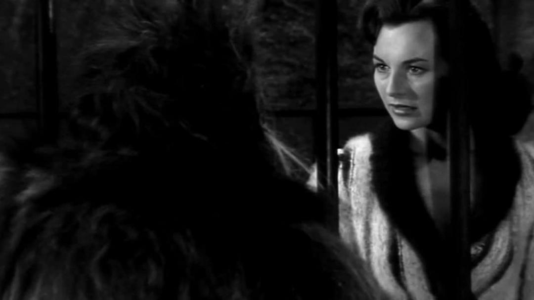 Background image for The Bride and the Beast