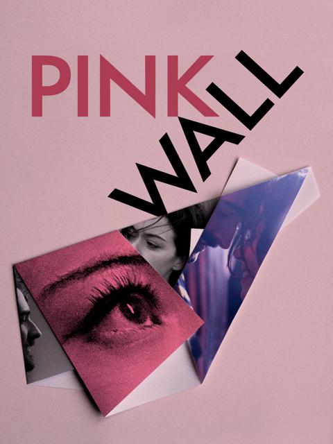 Movie poster for Pink Wall