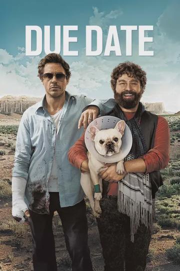 Terhes társaság poszter