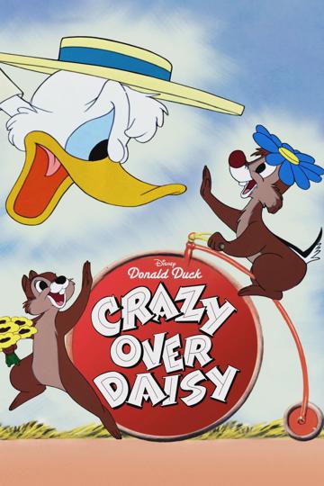 Crazy Over Daisy poszter