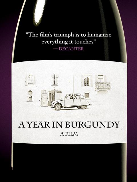 Movie poster for A Year in Burgundy