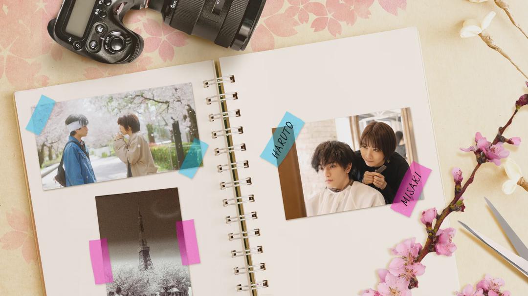 Background image for Love Like the Falling Petals