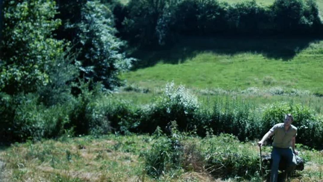 Background image for The Haunting of Borley Rectory