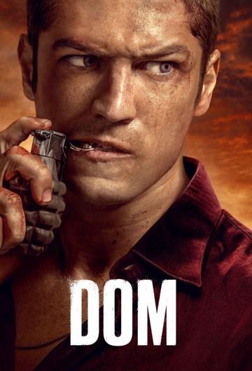 DOM poszter