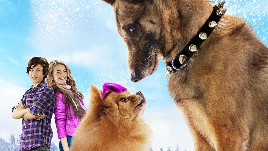 Background image for Step Dogs