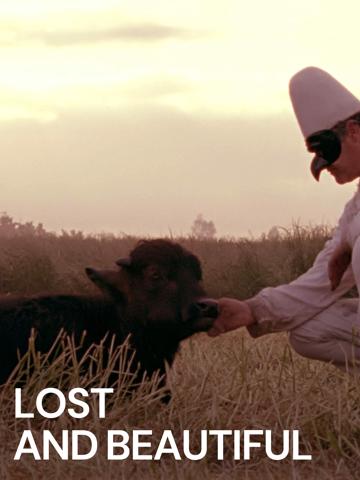Lost and Beautiful poszter