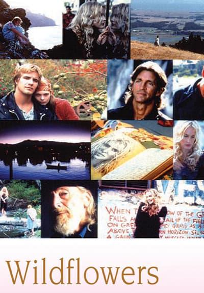 Poster för Wildflowers