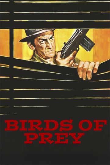Birds of Prey poszter