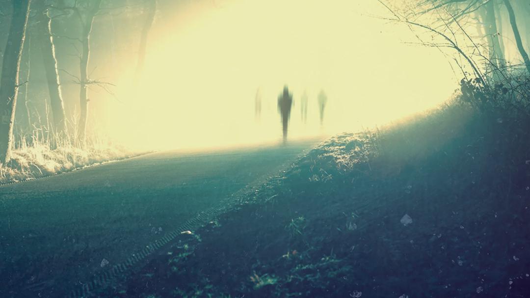 Background image for Surviving Death