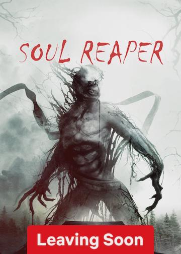 Soul Reaper poszter