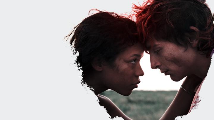 Kemikler ve Her Şey