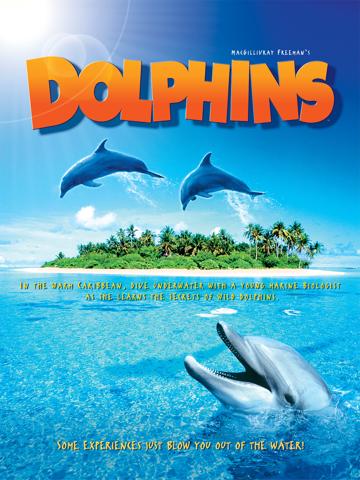 Dolphins poszter