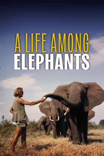 A Life Among Elephants poszter