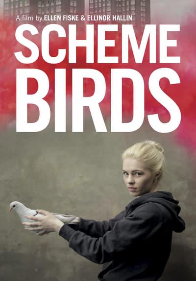 Poster för Scheme Birds