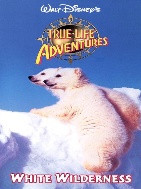 Poster för White Wilderness