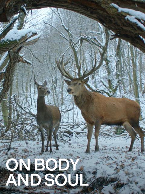 Movie poster for On Body and Soul