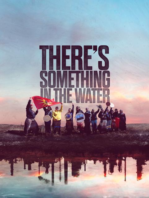 Poster för There's Something in the Water: Miljörasismens arv