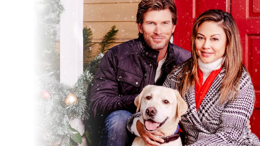 Background image for Christmas Unleashed