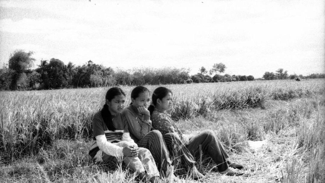 Background image for Evolution of a Filipino Family