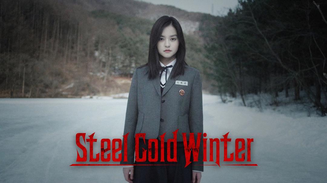 Steel Cold Winter