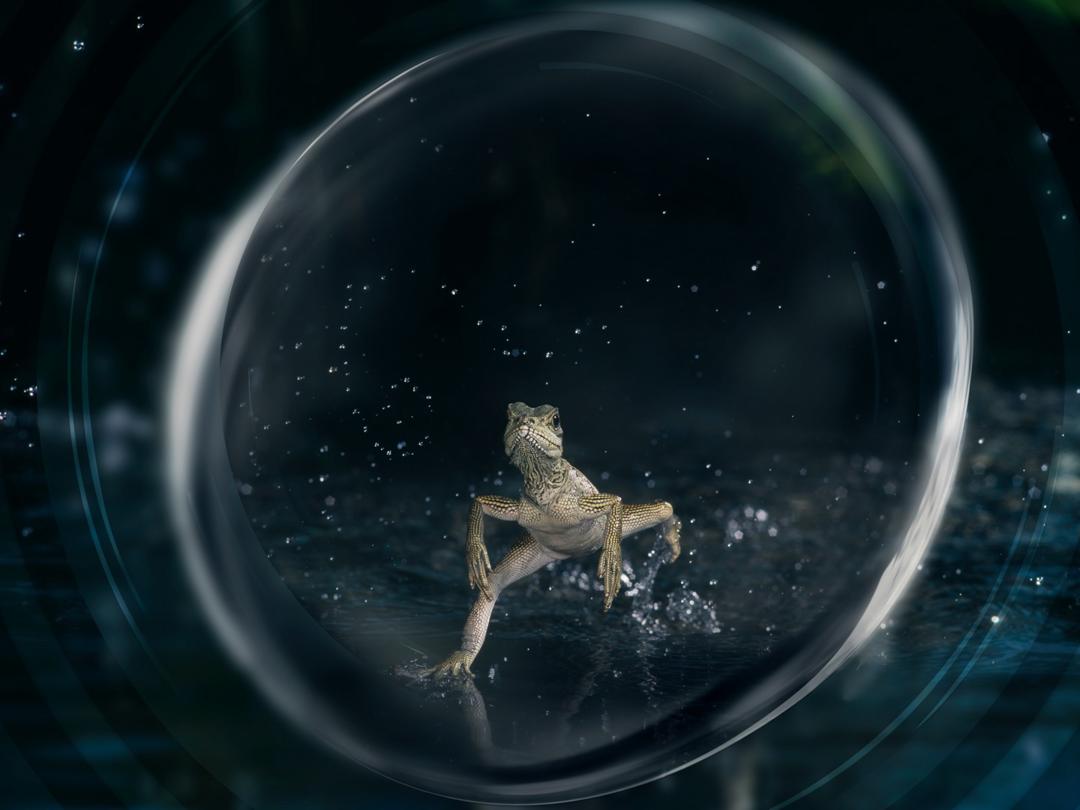 Background image for Life