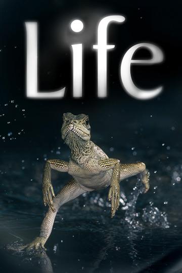 Life