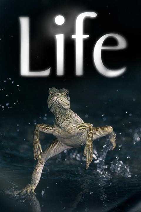 Life
